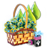 index45.png