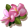 index52.png