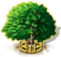 index52.png
