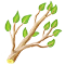index54.png