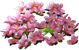 index54.png