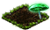 index55.png