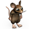 index55.png