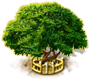 index55.png