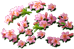 index56.png