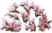 index57.png