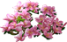 index58.png