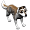 index6.png