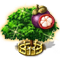 index6.png