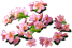 index60.png