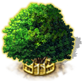 index60.png