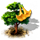 index67.png