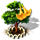 index74.png