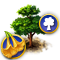 index8.png
