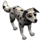 index99.png