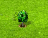 jakafa.gif