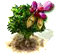 judastree_upgrade_0.png