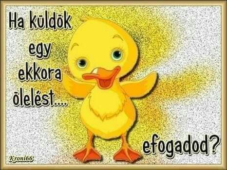 kacsa ölelés.jpg
