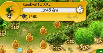 kamkvat.jpg