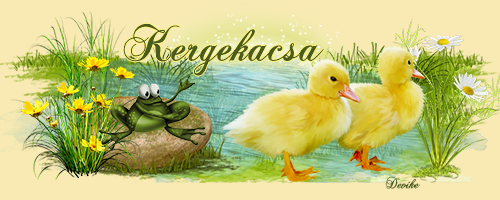 kergekacsa.png