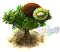 kiwi_upgrade_0.png