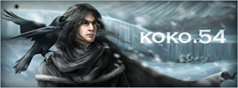 kokó banner.png