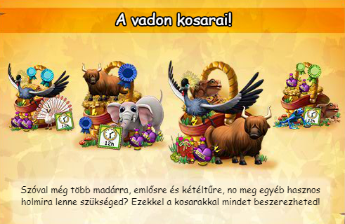 kosar_plakat.PNG