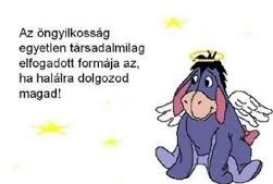 letöltés (17)gi   öngyl jó.jpg