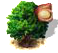 macadamia_upgrade_0.png