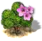 magnolia_upgrade_0.png