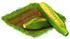 maize.png