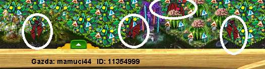mamuci44.png