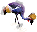 matrica.png
