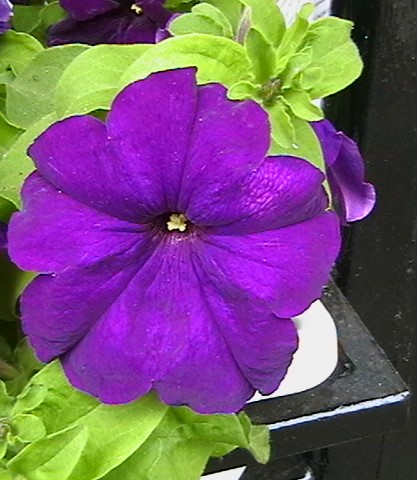 minden képek 052.jpg