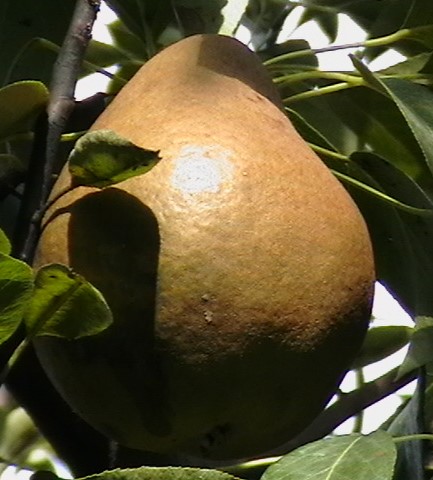 minden képek 388.jpg