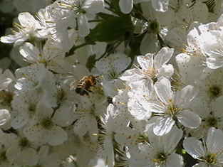 minden képek 893.png