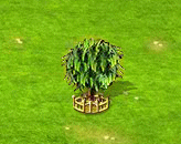 montezumacypress_upgrade_2.gif