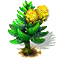 norfolkpine_upgrade_0.png