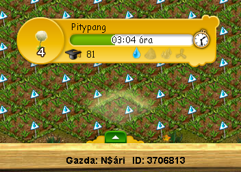 NSári.png