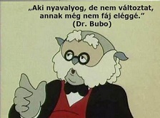 nyavajog.jpg