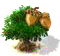 oak_upgrade_0.png
