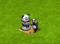 panda.gif