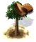 paranut_upgrade_0.png