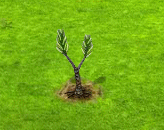 pecsétfa.gif