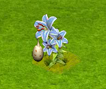 pillangopete.PNG