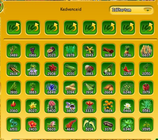 plant.jpg