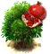pomegranate_upgrade_0.png