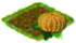 pumpkin.png