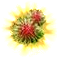 quest538.png