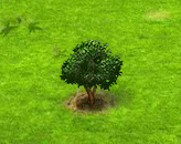 rambutan_upgrade_0.gif